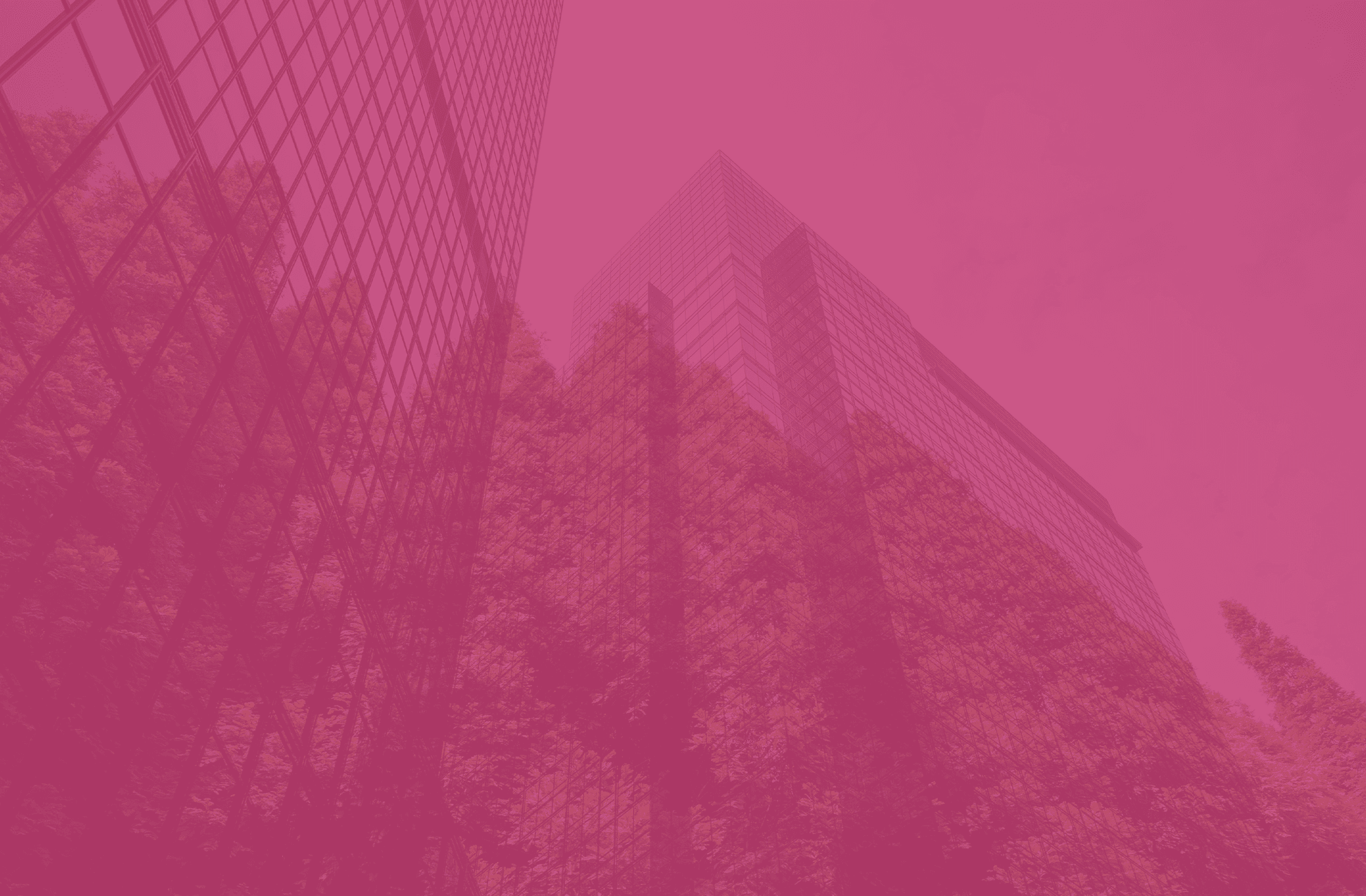 Knight Harwood Case Study – EXPO.e Networks cover